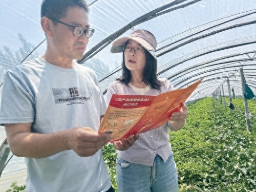 青岛农产品质量安全风险预警一张图_农产品质量安全总结_青岛市农产品质量安全中心