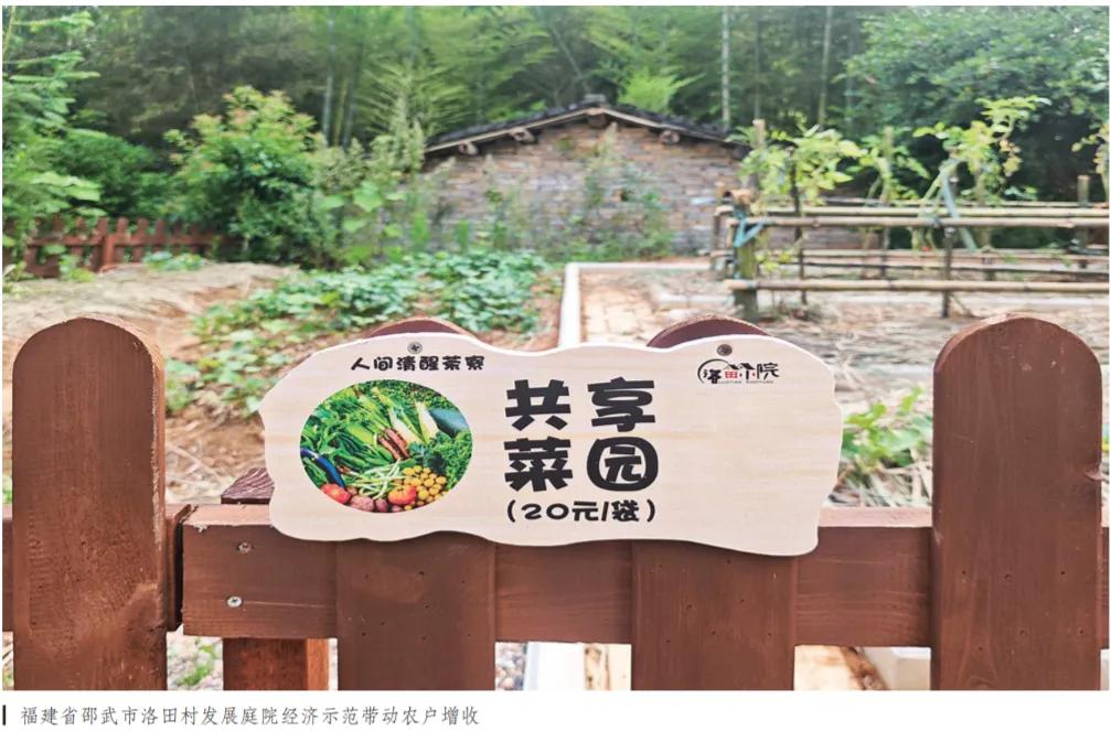 巩固拓展脱贫攻坚成果_乡村振兴_农产品品牌存在的问题