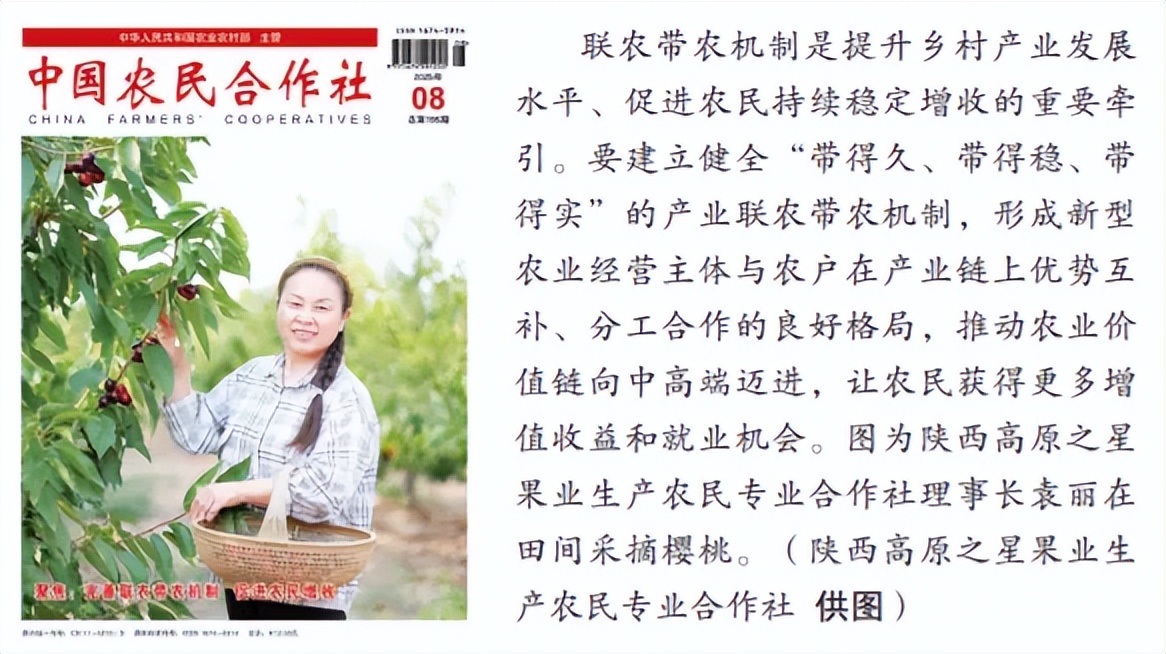 乡村振兴_巩固拓展脱贫攻坚成果_农产品品牌存在的问题
