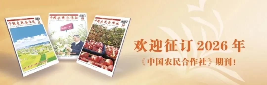 乡村振兴_巩固拓展脱贫攻坚成果_农产品品牌存在的问题