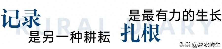农产品品牌化成趋势，土特产如何从本地走向世界？
