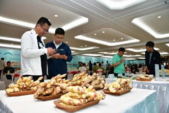 齐鲁农超 山东名优特精农产品推广_齐鲁农超 山东农产品区域品牌建设_农产品品牌存在的问题
