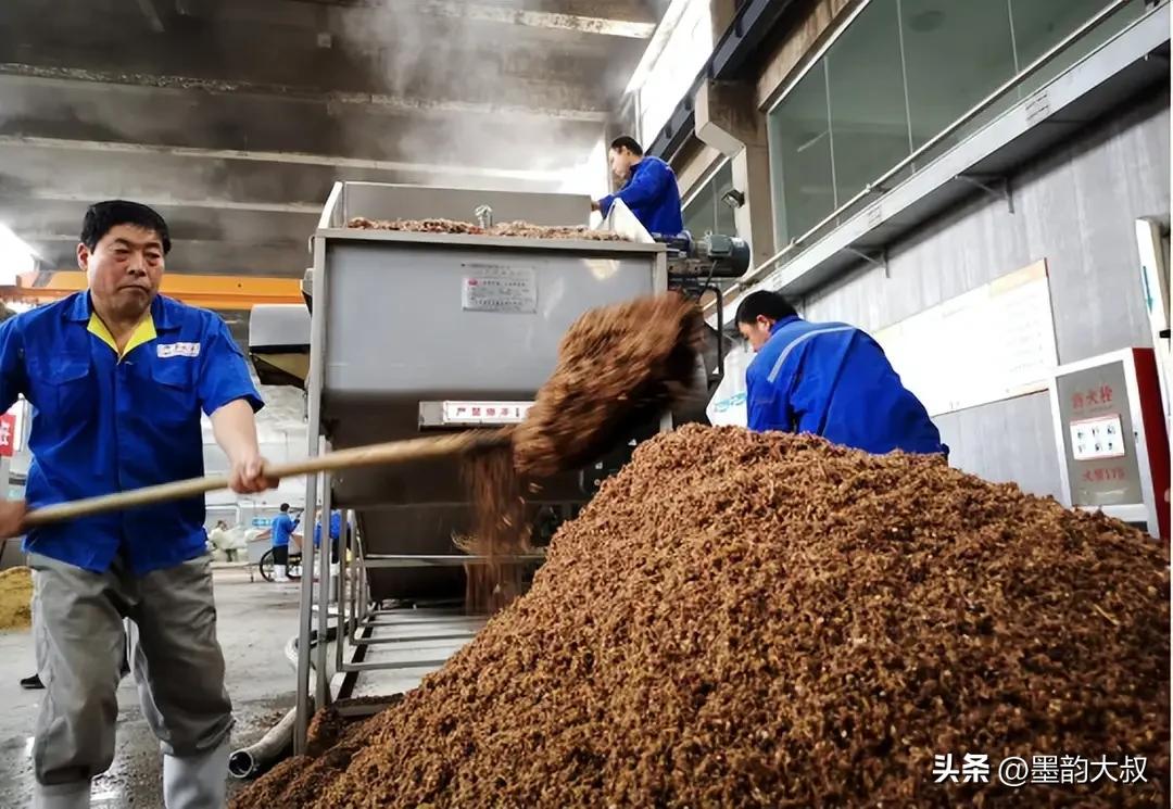 中美农产品贸易_农产品贸易案例_中国进口巴西高粱