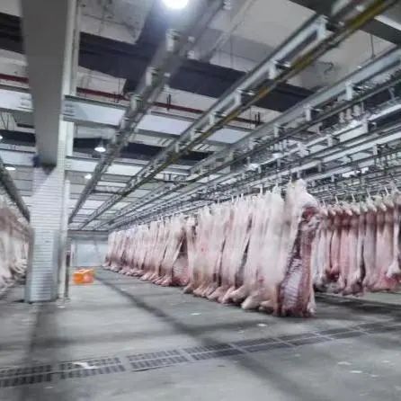 上海沃尔玛复市_上海百联集团复市_上海农产品批发市场