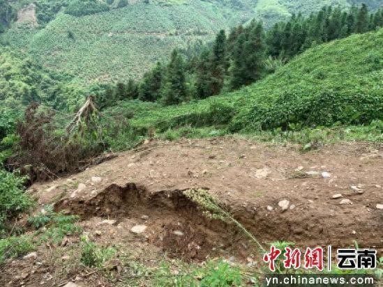 屏边县前进村：曾陷农产品销售困境，今靠互联网走出振兴路？