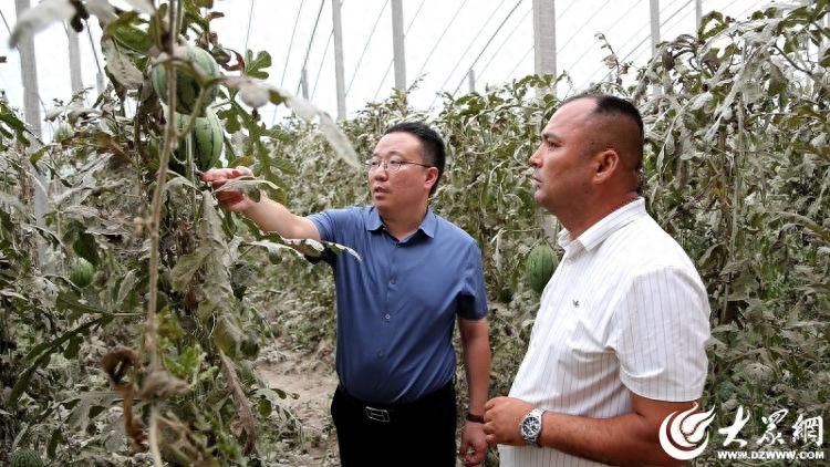 农产品品牌建设流程_郭牌农业西瓜种植基地_郭牌农业数字化农业体系