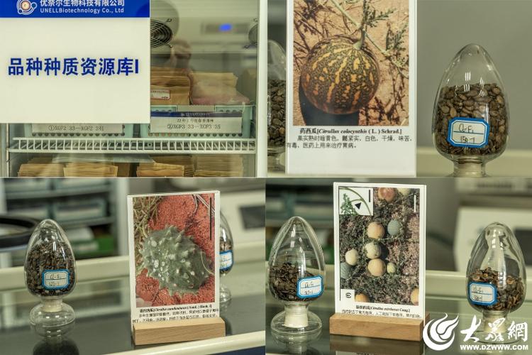 郭牌农业数字化农业体系_农产品品牌建设流程_郭牌农业西瓜种植基地