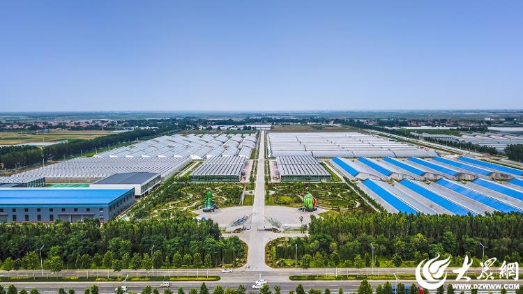农产品品牌建设流程_郭牌农业西瓜种植基地_郭牌农业数字化农业体系