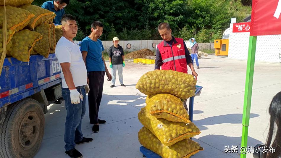 清水县核桃全产业链发展_清水县核桃产业提质增效_核桃农产品商标