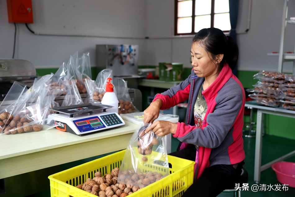 核桃农产品商标_清水县核桃产业提质增效_清水县核桃全产业链发展