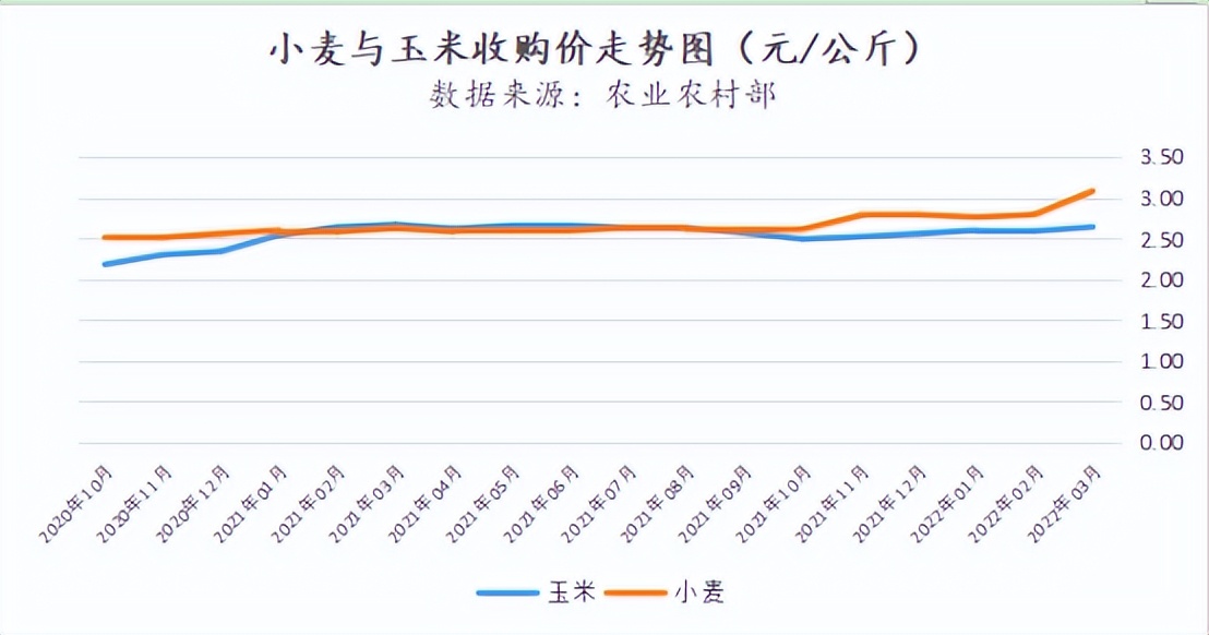小麦价格走势_面粉成本影响_农产品现货分析师
