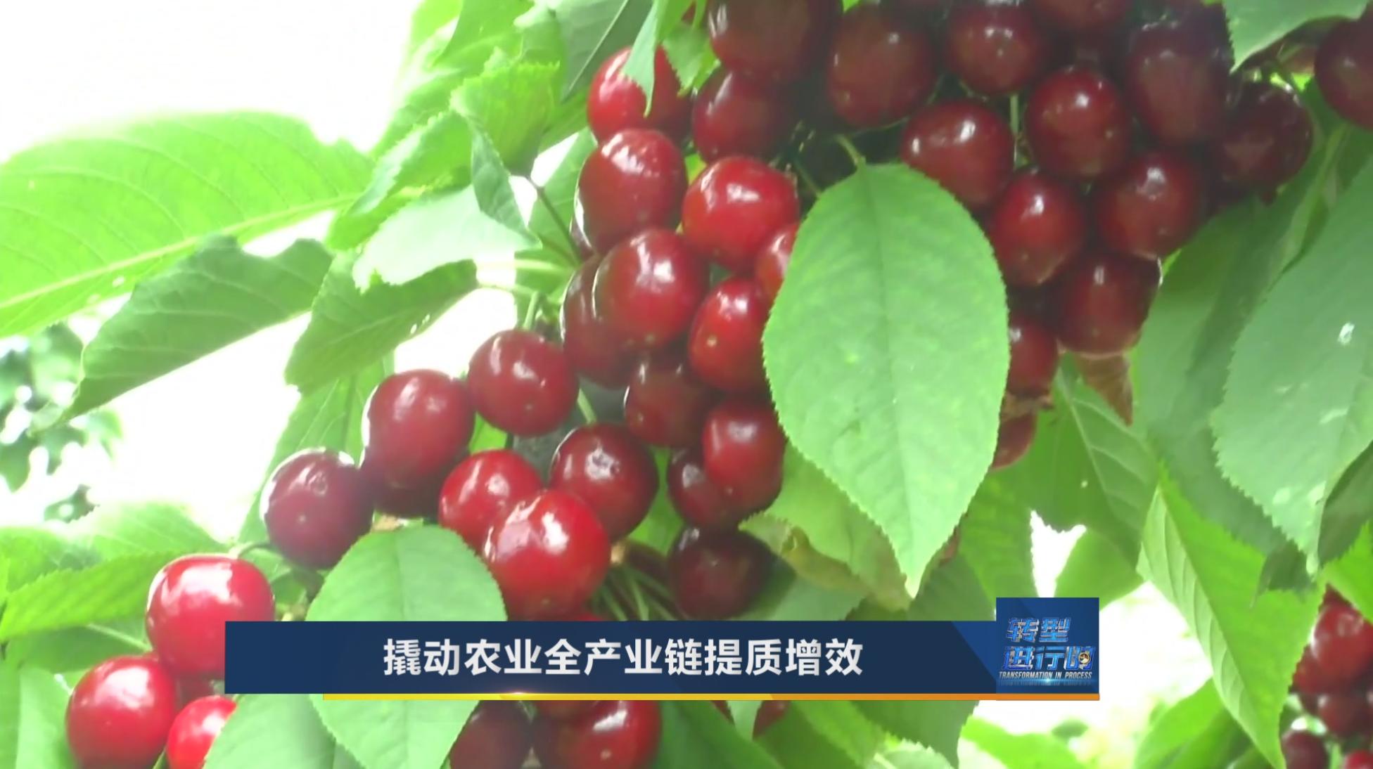 山西农产品精深加工_杭州 农产品精深加工率_山西老陈醋智能制造