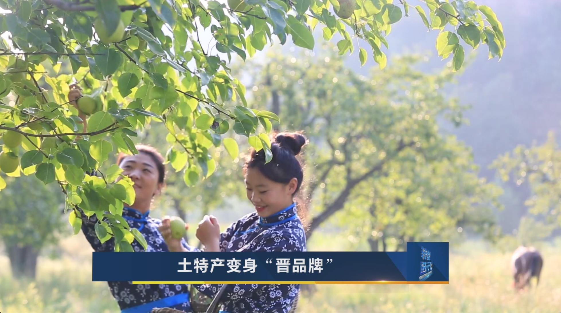 山西农产品精深加工_山西老陈醋智能制造_杭州 农产品精深加工率