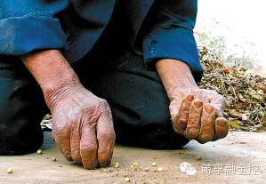 鲸孚融金控公益助销_农产品滞销帮助_农产品滞销 公益