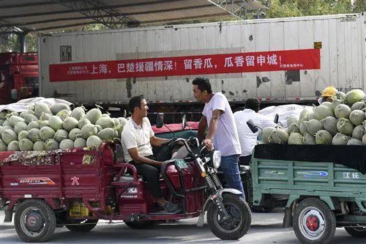 农产品跨区域流通受阻_农产品运费上涨物流不畅_2025农产品滞销的原因