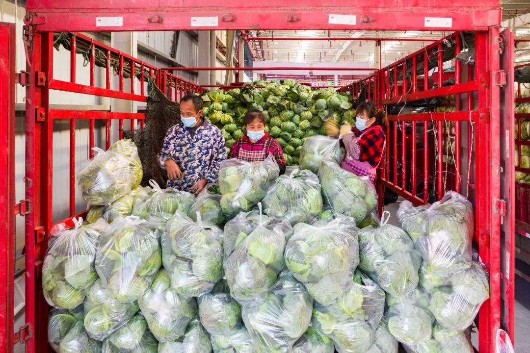 农产品运费上涨物流不畅_2025农产品滞销的原因_农产品跨区域流通受阻