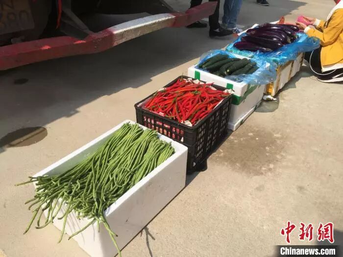 海南冬季瓜菜产销情况_海南农产品滞销_海南冬季瓜菜运输政策
