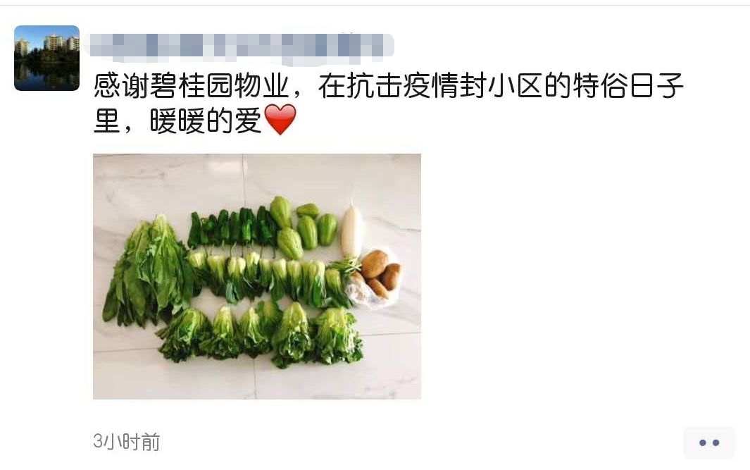 海口市政府副秘书长李革下令发车_海南农产品滞销_碧桂园海南区域购销海口市贫困户农产品发车仪式