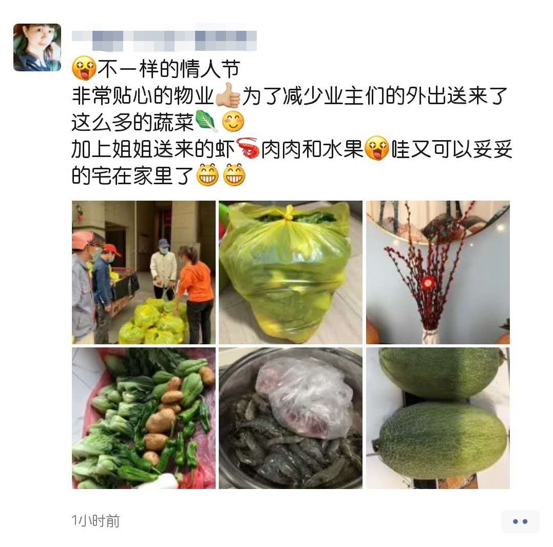 海南农产品滞销_海口市政府副秘书长李革下令发车_碧桂园海南区域购销海口市贫困户农产品发车仪式