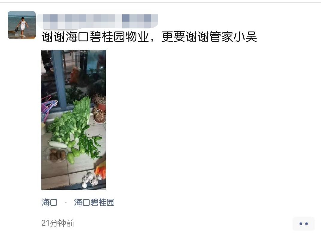 海南农产品滞销_碧桂园海南区域购销海口市贫困户农产品发车仪式_海口市政府副秘书长李革下令发车