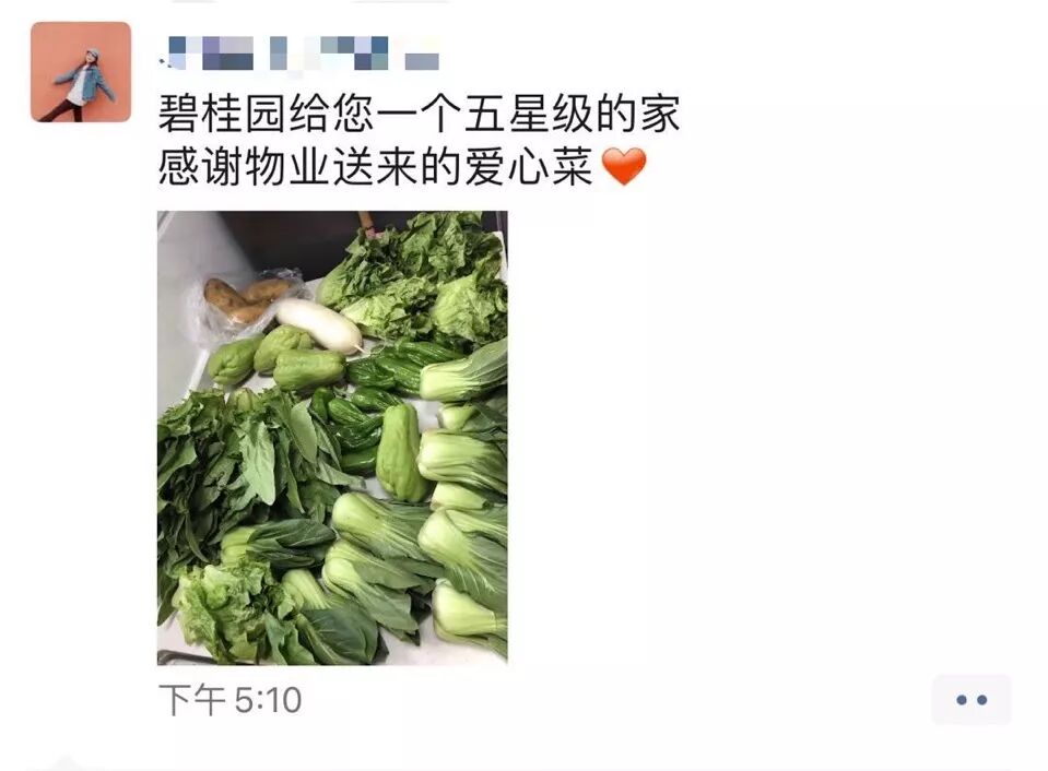 海口市政府副秘书长李革下令发车_海南农产品滞销_碧桂园海南区域购销海口市贫困户农产品发车仪式