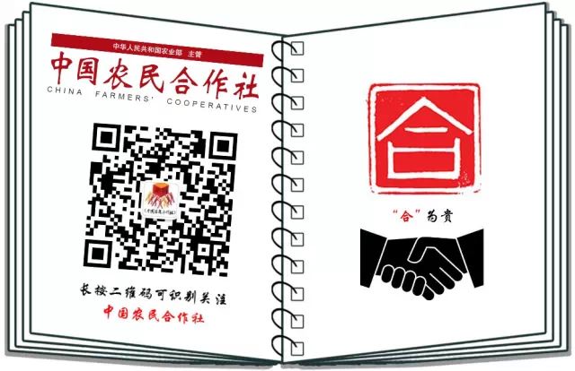 武功县农产品滞销情况_农村电商发展现状_农产品电商上行模式