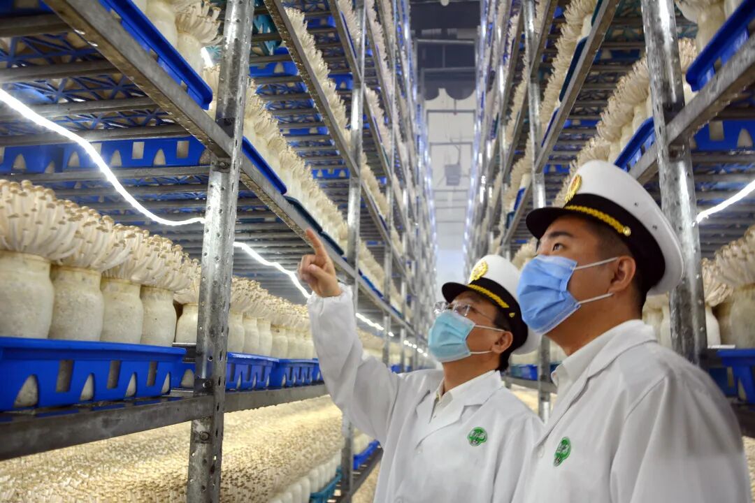 山东农产品出口_济南海关农产品出口服务_输欧盟农产品原产地证书