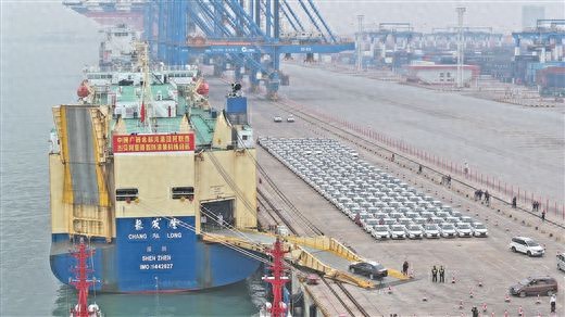 友谊关智慧口岸_广西农产品贸易app_广西通关便利化