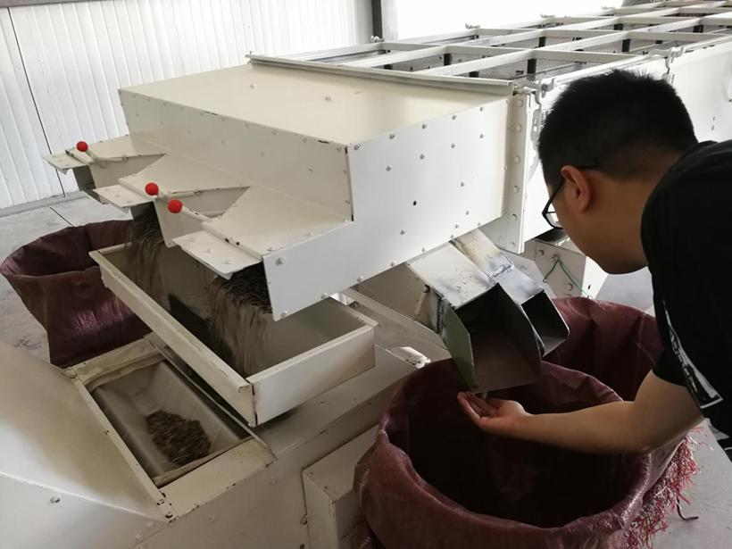 新疆戈壁滩河南农民种植瓜子_良品铺子颗颗香瓜子溢价背后_瓜子属于农产品吗?