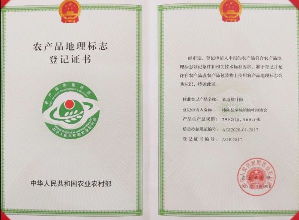 桑墟榆叶梅国家农产品地理标志登记证书_农产品地理标志登记_桑墟榆叶梅产业富民增收