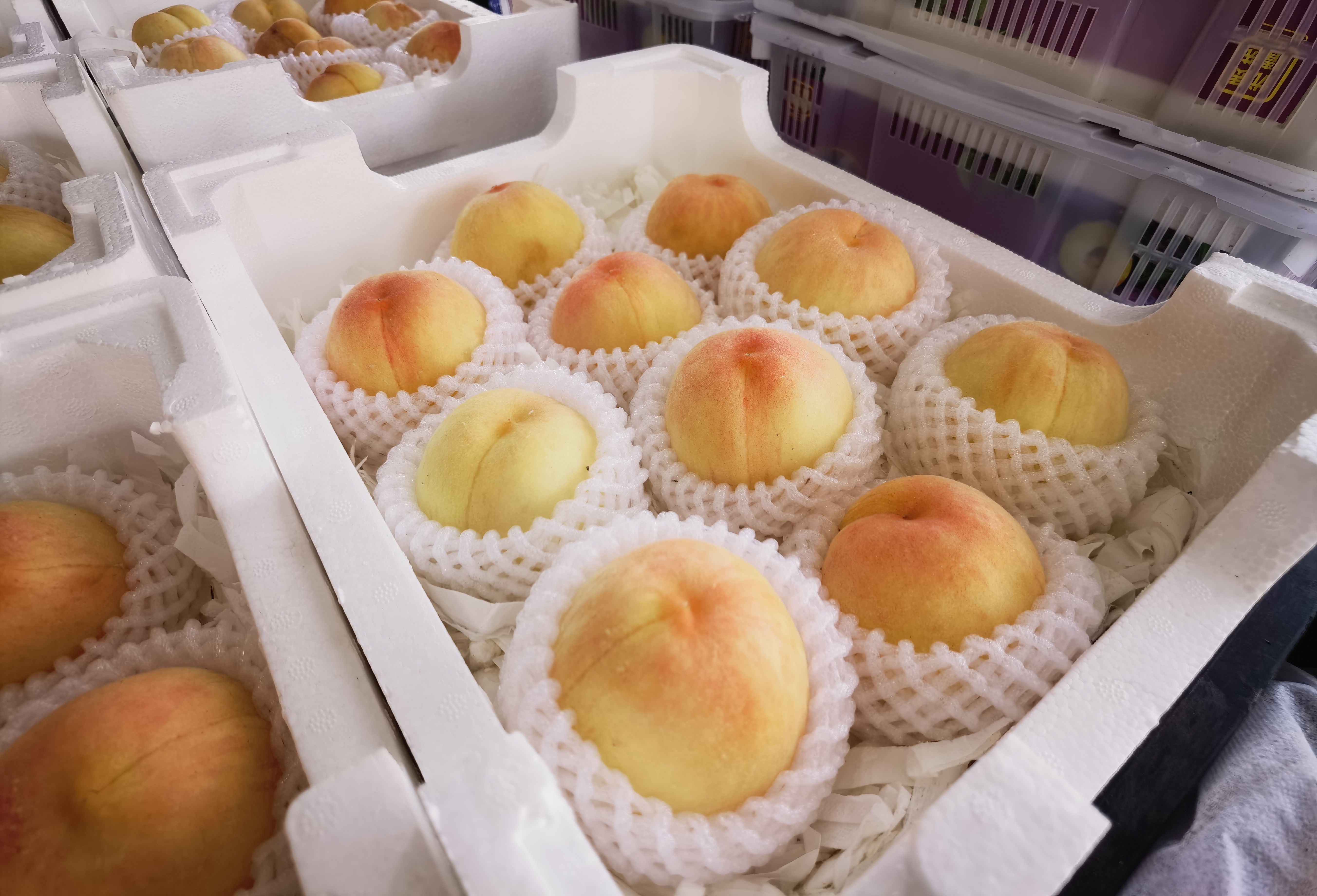 南京众彩市场毛桃批发价_南京农副产品物流中心水蜜桃价格_南京农产品报价平台