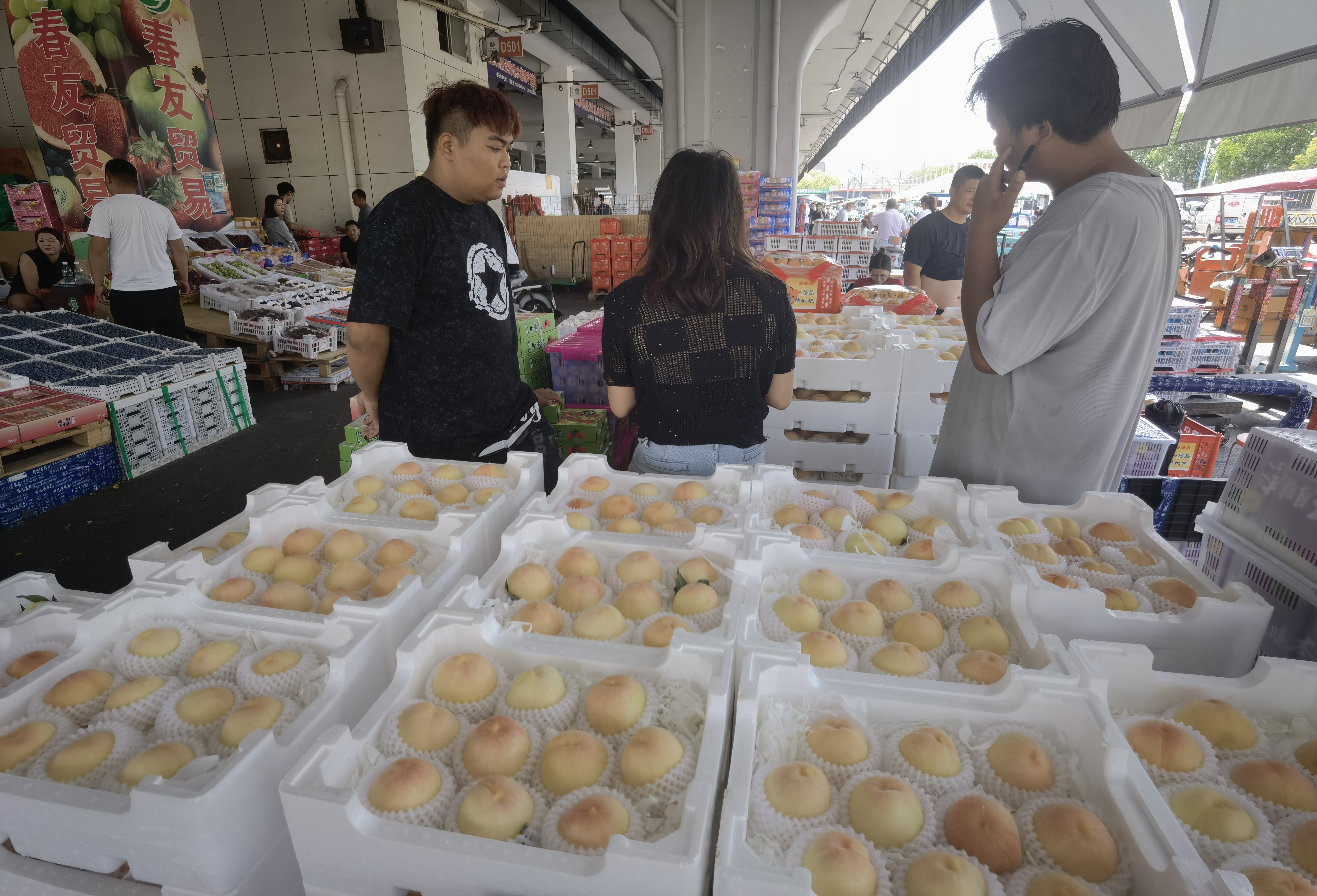 南京农副产品物流中心水蜜桃价格_南京众彩市场毛桃批发价_南京农产品报价平台