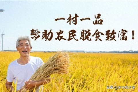 提高农民收入的核心机制_产业升级与价值链提升_农产品流通成本