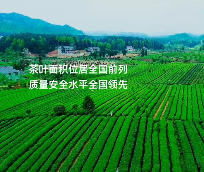贵州西部农产品投资_贵州阳雀湖高山特色辣椒基地全产业链发展_贵州关岭牛现代化交易市场