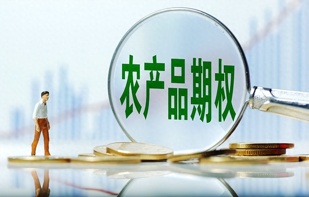 农产品期货_农产品期货市场的功能_芝商所历史