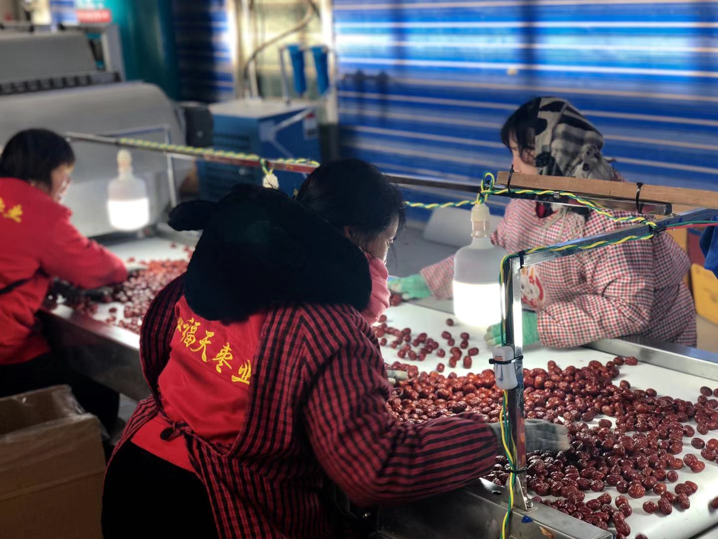 农产品期货市场的功能_红枣保险期货试点_红枣期货价格走势