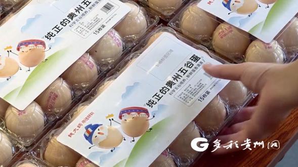 贵州西部农产品投资_贵州生态鸡蛋 钱大妈 粤黔东西部协作