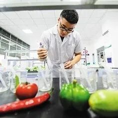 农产品质量安全监测抽样问题_农产品质量安全监测_抽样单填写不规范