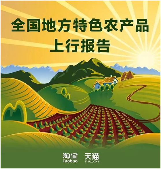 淘宝农产品怎么发布_中西部省份农产品电商发展_淘宝特色农产品销售排名
