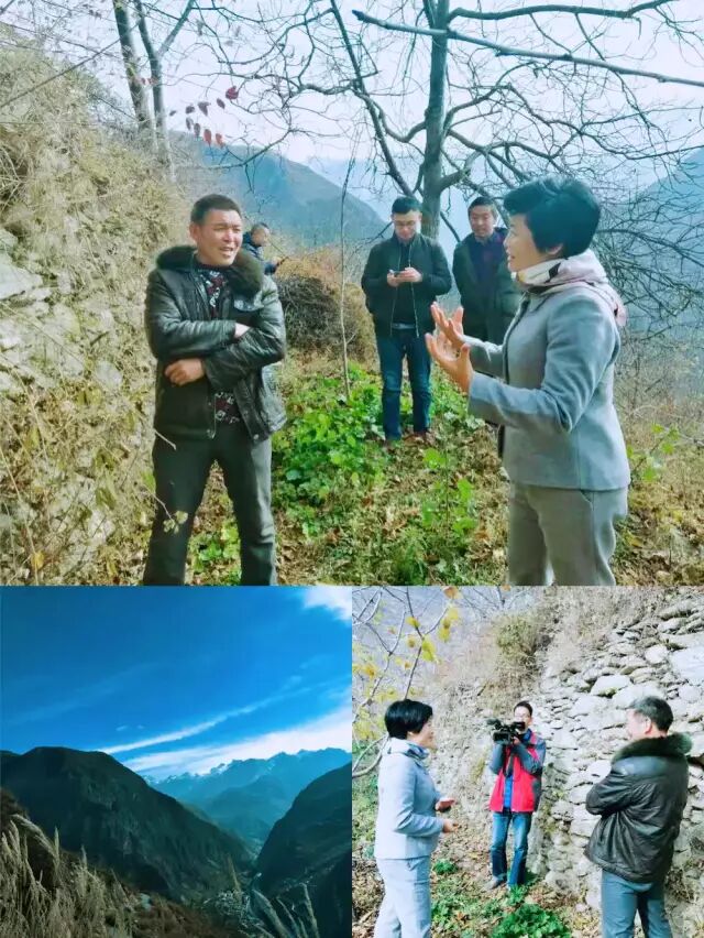 农产品电商物流_现代物流产业_汶川电商发展