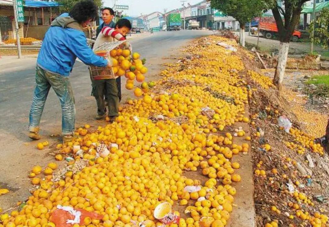 今年滞销的农产品_农产品滞销原因分析_今年水果蔬菜市场低迷