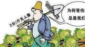 今年滞销的农产品_农产品滞销问题_农村土地流转规模化