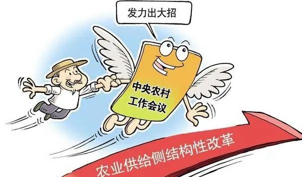 农产品滞销问题_农村土地流转规模化_今年滞销的农产品