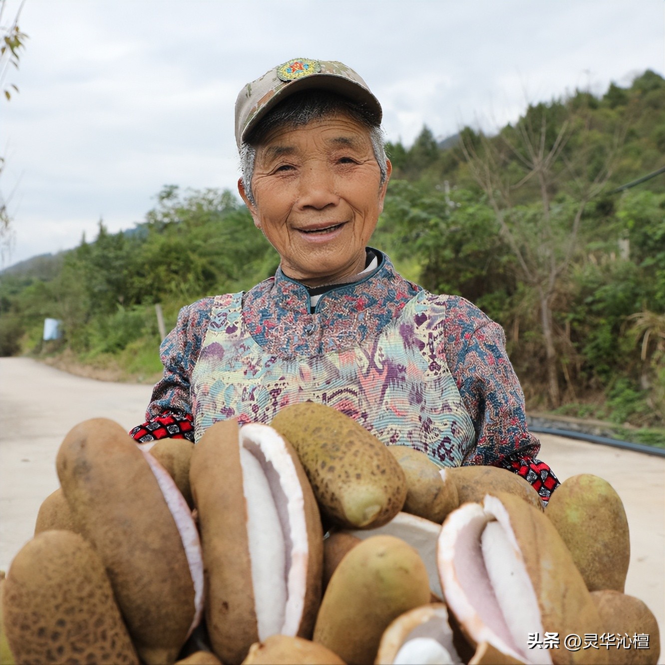 石阡县特色产业现代化升级_石阡县绿色农业产业发展_贵州绿色农产品