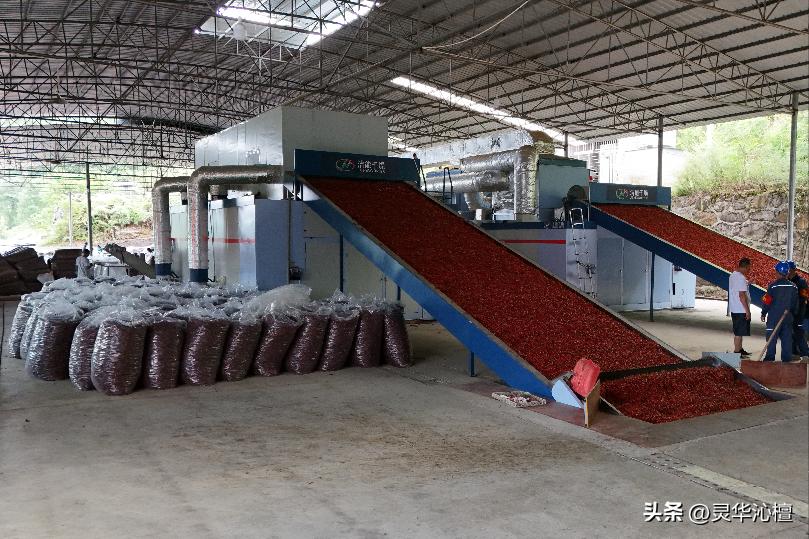 石阡县绿色农业产业发展_贵州绿色农产品_石阡县特色产业现代化升级