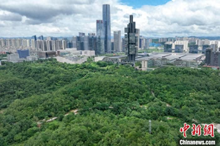 贵州绿色农产品_贵州生态文明建设_贵州绿色经济占比