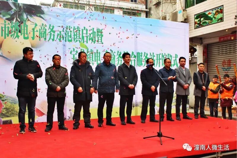 农产品电子商务示范镇_市级电子商务示范镇_宝龙镇电子商务综合服务站