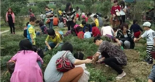 农产品预售众筹_农产品众筹模式_农业众筹模式
