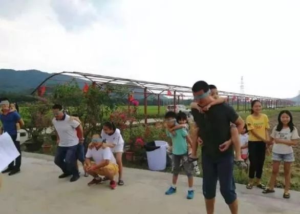 农业众筹模式_农产品预售众筹_农产品众筹模式