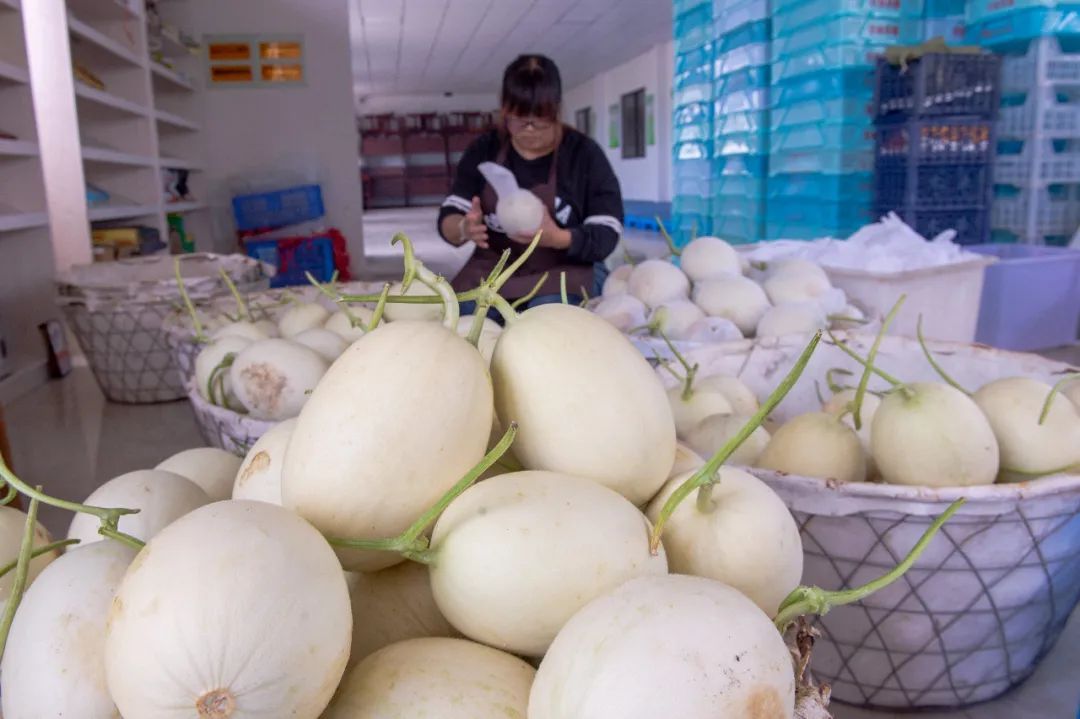 浦东农产品追溯网_浦东新区食用农产品合格证_食用农产品质量安全承诺证